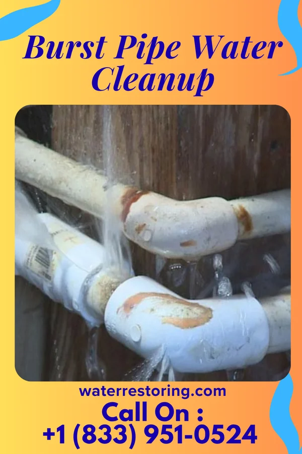 Burst Pipe Water Cleanup in Princeton Meadows, NJ