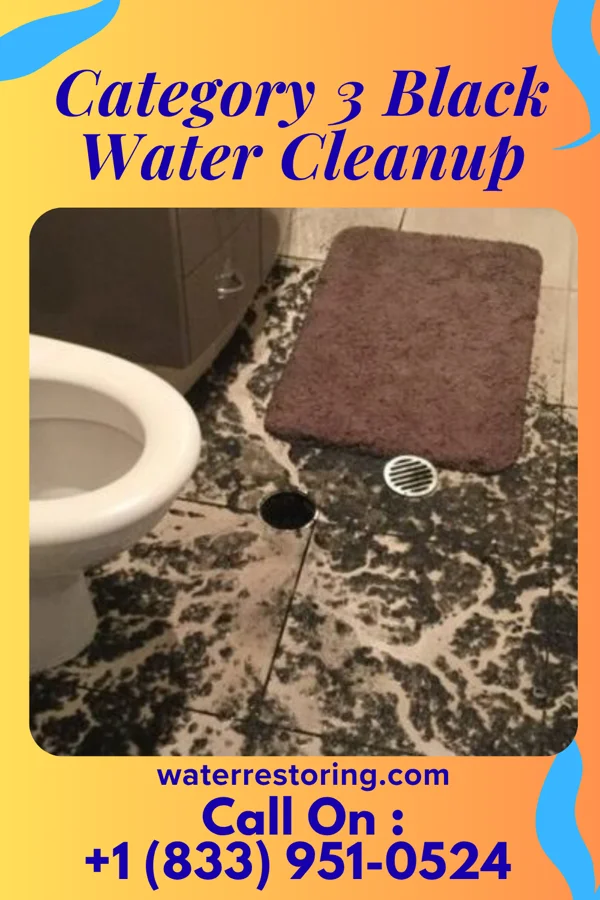 Category 3 Black Water Cleanup in Princeton Meadows, NJ