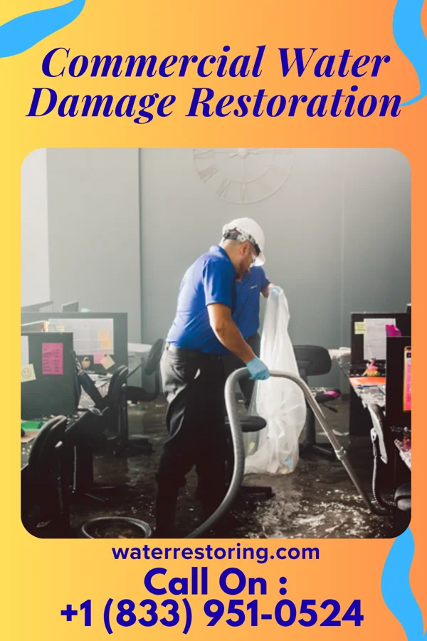 Commercial Water Damage Restoration in Princeton Meadows, NJ