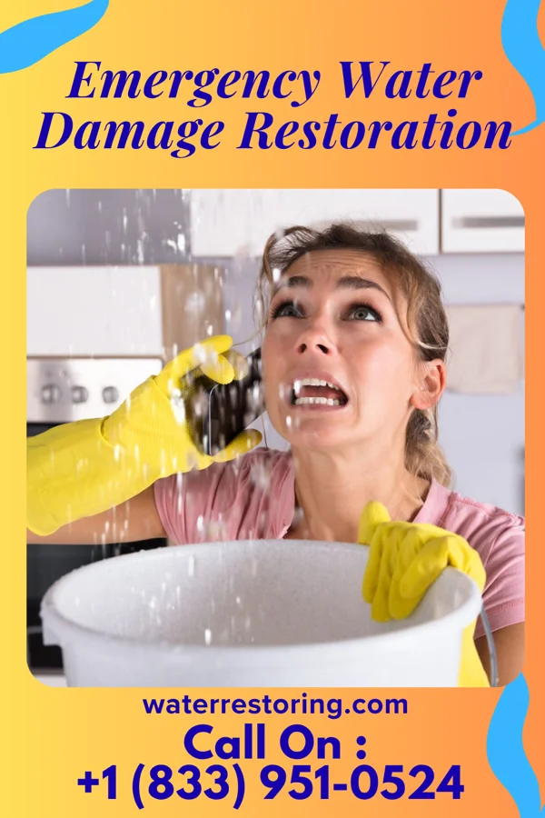 Emergency Water Damage Restoration in Princeton Meadows, NJ