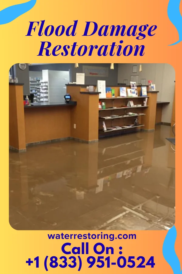 Flood Damage Restoration in Princeton Meadows, NJ
