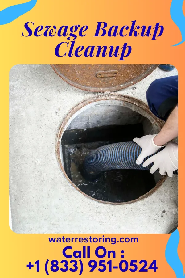 Sewage Backup Cleanup in Princeton Meadows, NJ