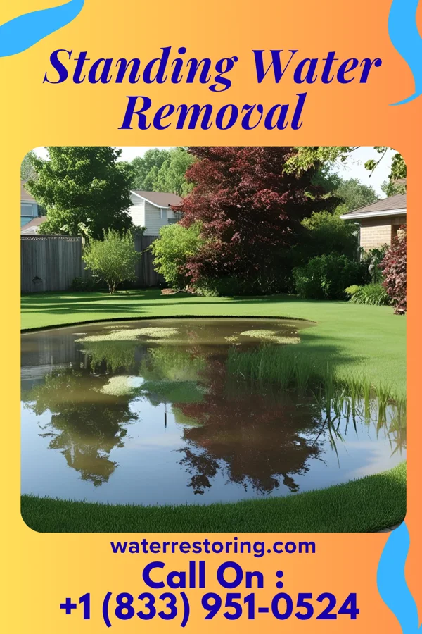 Standing Water Removal in Princeton Meadows, NJ